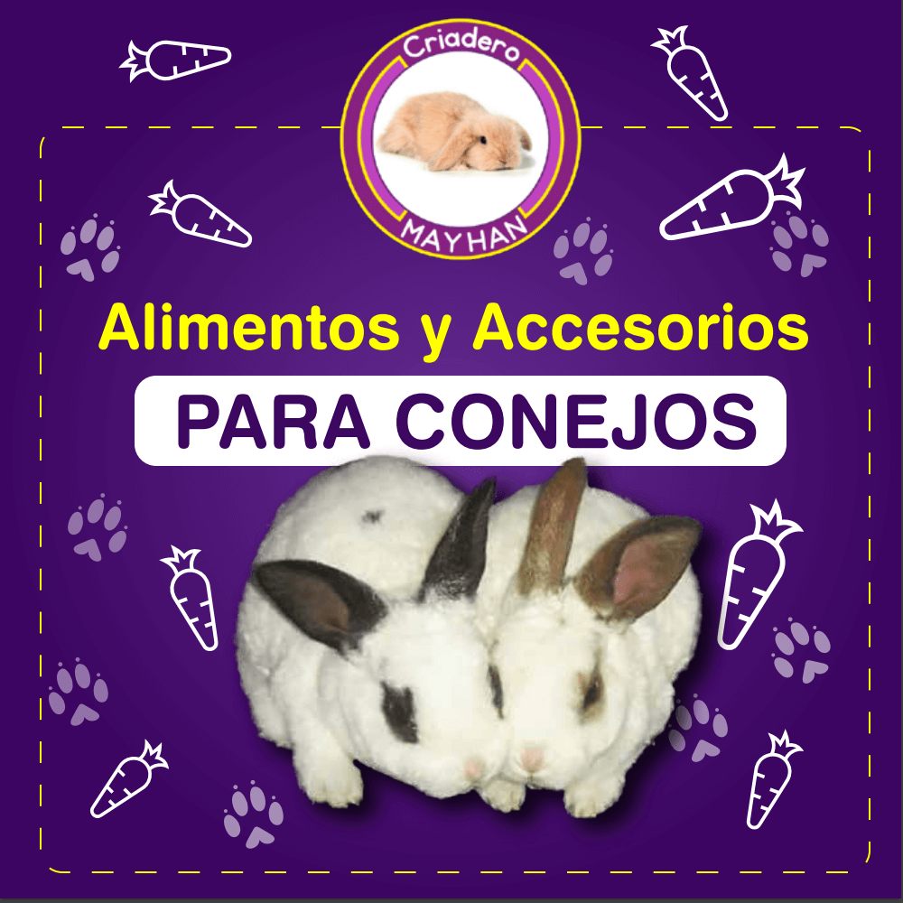 Catalogo Mayhan